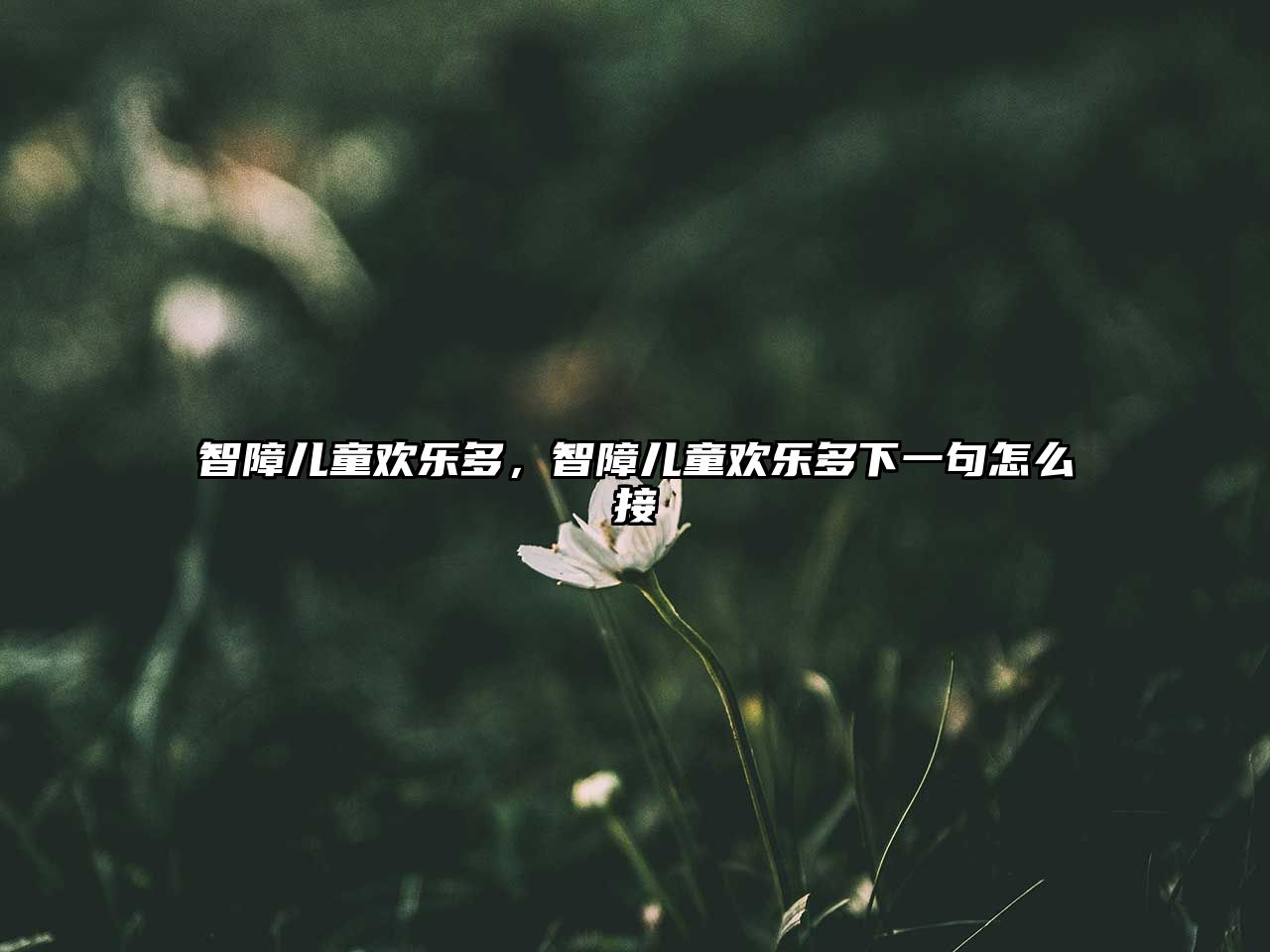 智障兒童歡樂(lè)多，智障兒童歡樂(lè)多下一句怎么接