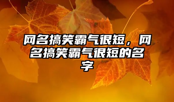 網(wǎng)名搞笑霸氣很短，網(wǎng)名搞笑霸氣很短的名字