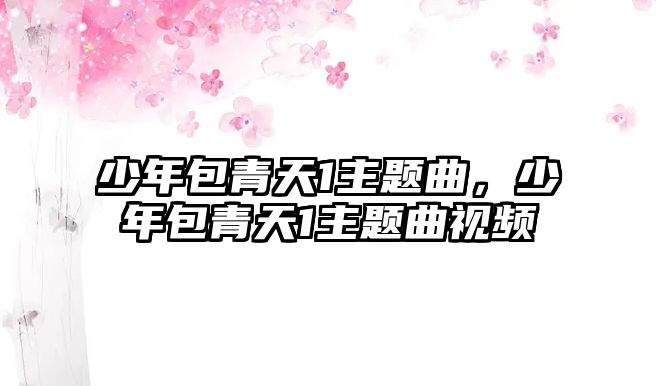 少年包青天1主題曲，少年包青天1主題曲視頻