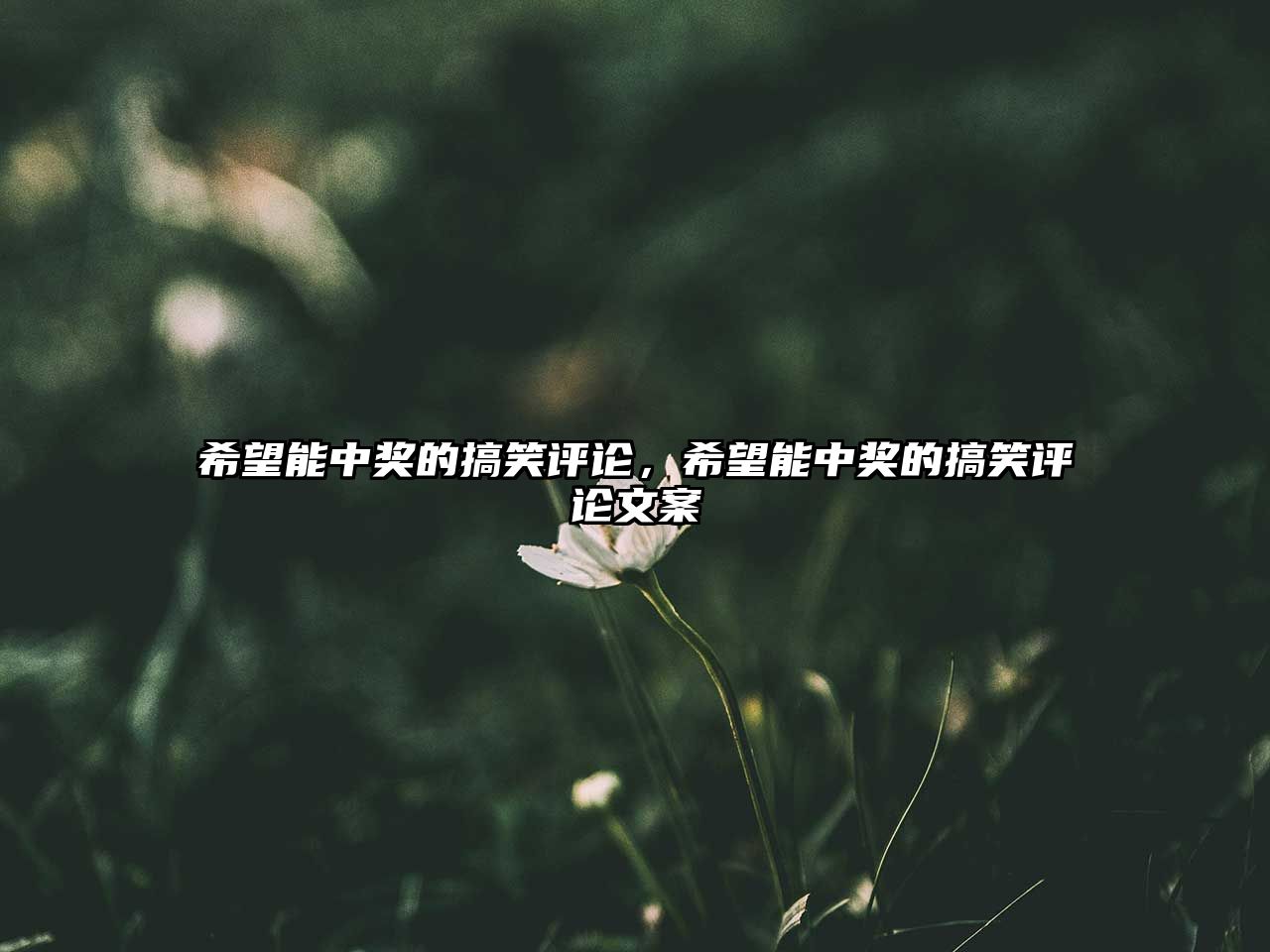 希望能中獎(jiǎng)的搞笑評(píng)論，希望能中獎(jiǎng)的搞笑評(píng)論文案