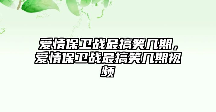 愛情保衛(wèi)戰(zhàn)最搞笑幾期，愛情保衛(wèi)戰(zhàn)最搞笑幾期視頻