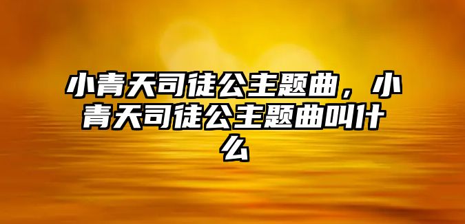 小青天司徒公主題曲，小青天司徒公主題曲叫什么